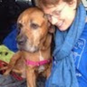 Meet your Posher, Cindy